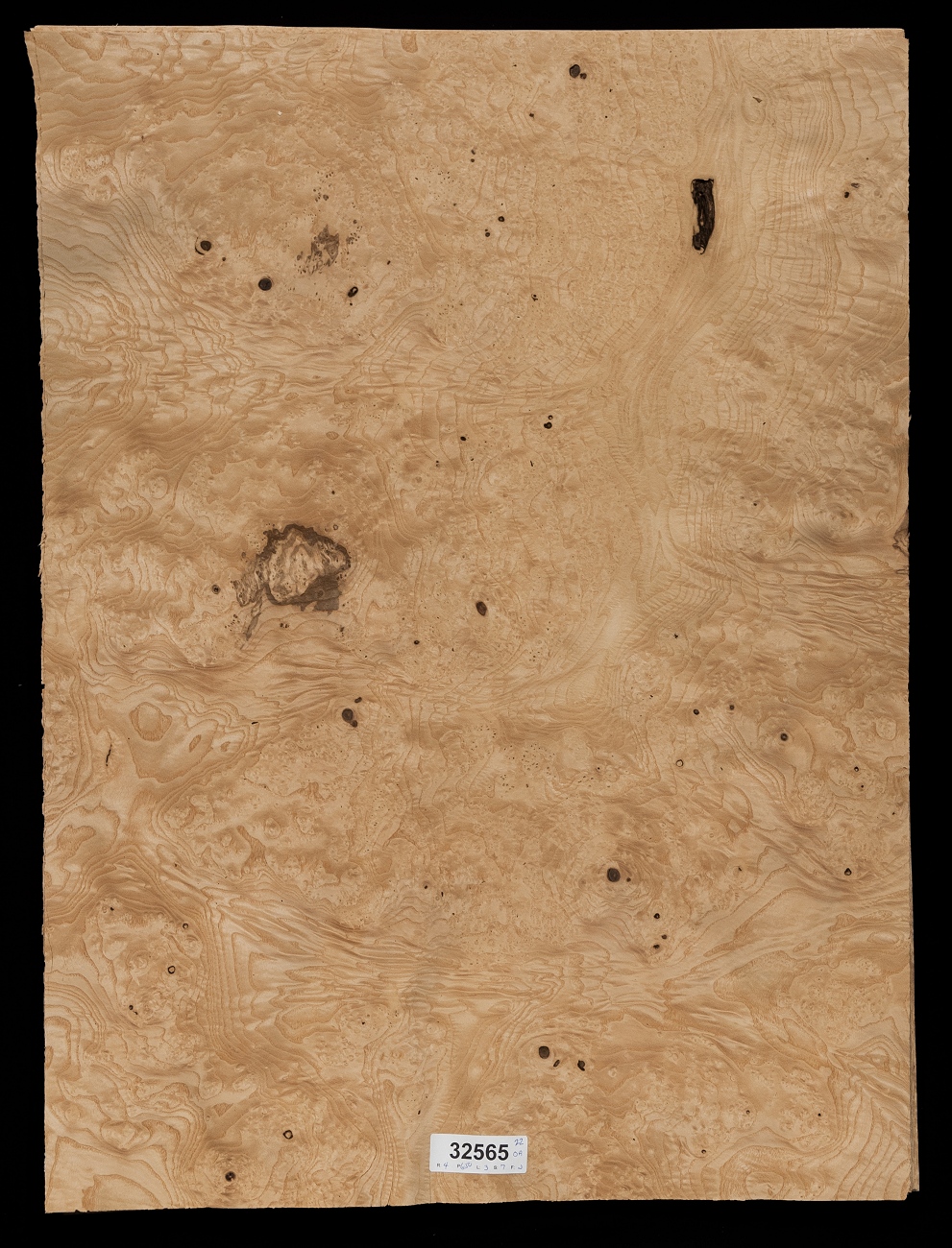 Olive Ash Burl Wood Veneer Sheets