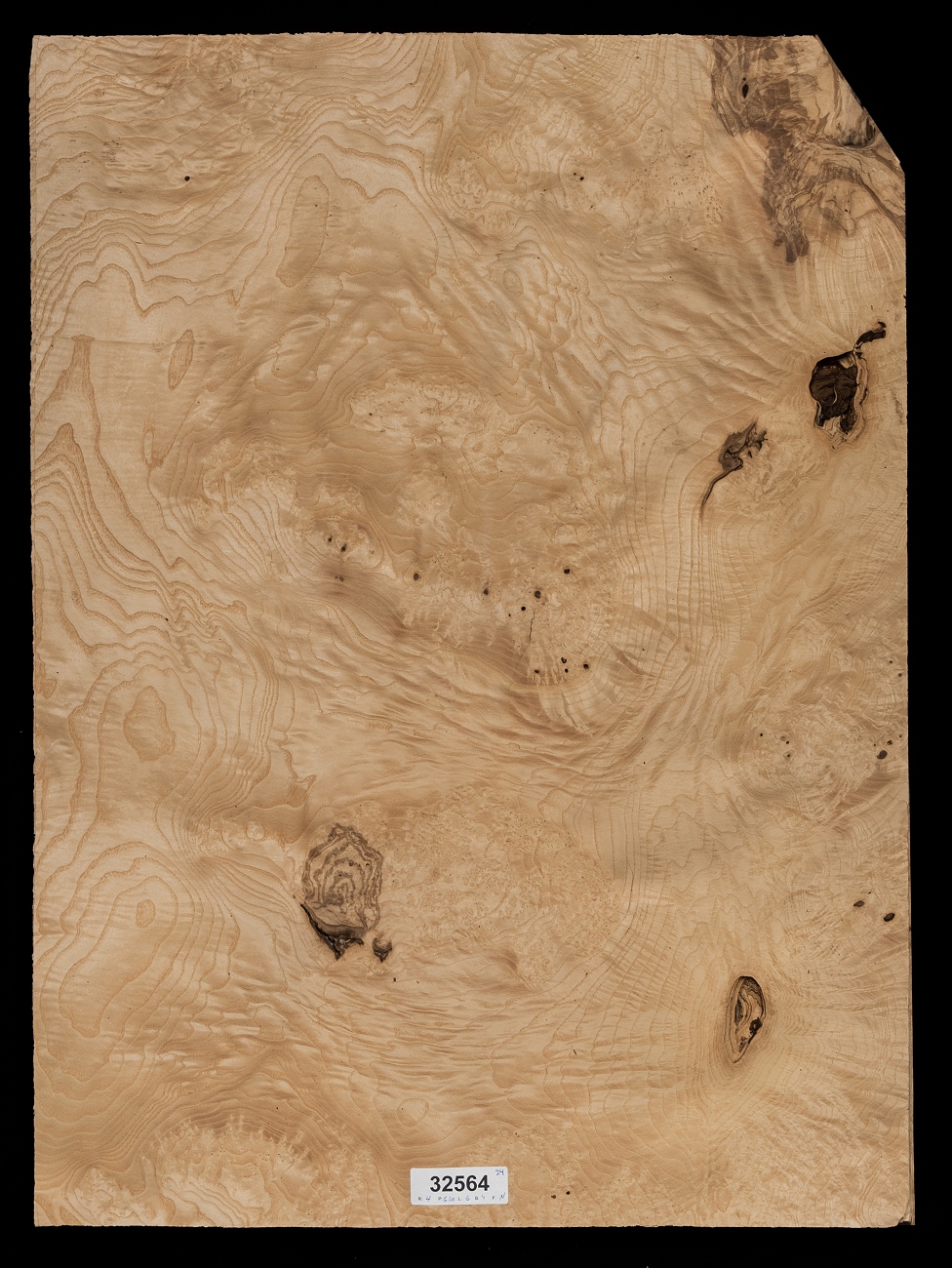 Olive Ash Burl Wood Veneer Sheets