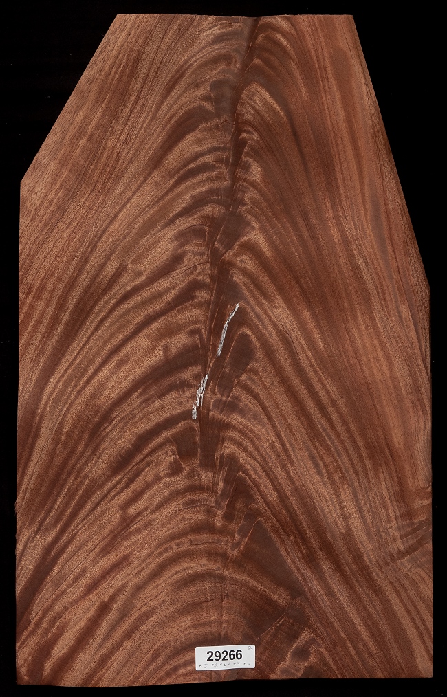 Khaya Mahogany Crotch Veneer In Small Affordable Lots