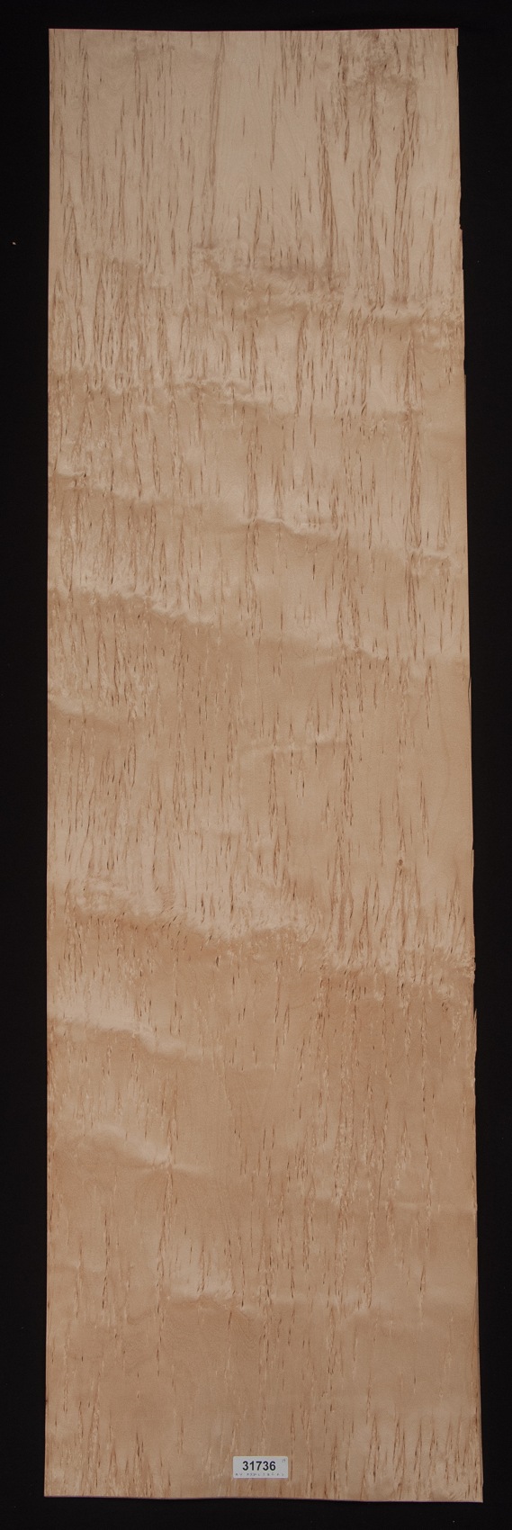 Karelian Birch Burl Veneer Lot 19.5